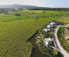 Green Land Bubble Glamping