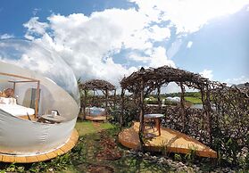 Green Land Bubble Glamping