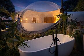 Green Land Bubble Glamping