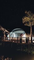 Green Land Bubble Glamping