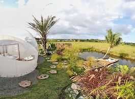 Green Land Bubble Glamping