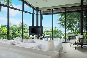 The View