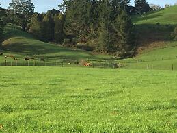 Veld View Bed & Breakfast