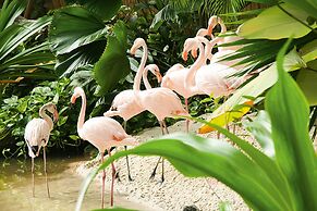 Tropical Islands Campingplatz