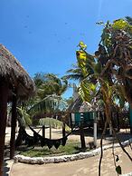 Mayan Mittoz