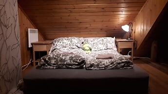 Arctic Rooms REKTOR