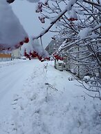 Arctic Rooms REKTOR