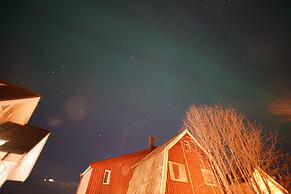 Arctic Rooms REKTOR
