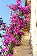Apartments Martic