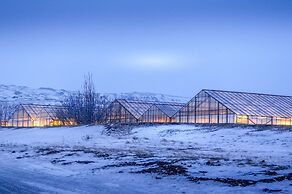 The Greenhouse Hotel