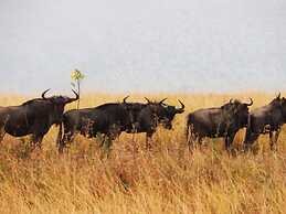 Kruger Mountain Tented Camp