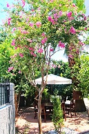 Villa Center