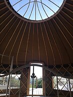 Looe Yurts