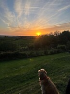 Looe Yurts