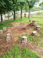 Looe Yurts