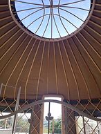 Looe Yurts