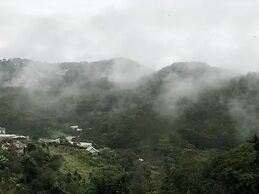 D House Dalat