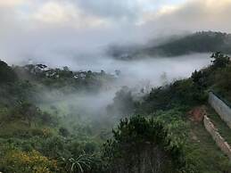 D House Dalat