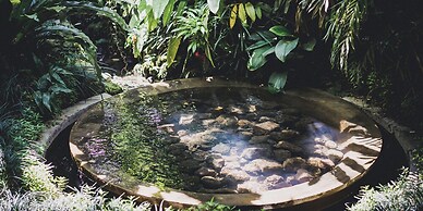 The Sayan House