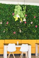 Hotel Planas