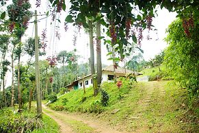 Room-the Nest Bettathur Coorg 005