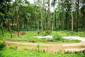 Room-the Nest Bettathur Coorg 005