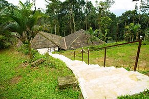 Room-the Nest Bettathur Coorg 005