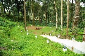 Room-the Nest Bettathur Coorg 005