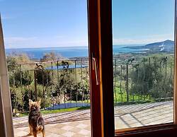 Villa Luddui L1 sea View