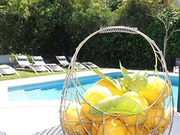 Strip CIP