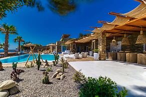 Karkos Beachfront Villa  Private pool