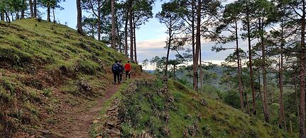 Majkhali Woods, Ranikhet, By Himalayan Eco Lodges