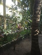 Top view villa