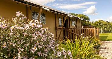 Luxury Safari Lodge Surrounded by Deer!! 'fallow'