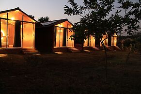 Shetty Farms