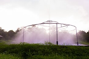 Shetty Farms