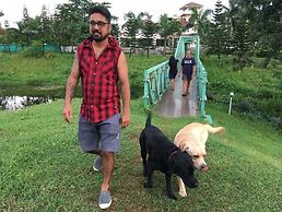 Shetty Farms