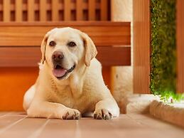 Sono Pet Clubs & Resorts VivaldiPark