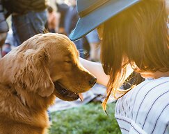 Sono Pet Clubs & Resorts VivaldiPark