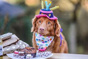 Sono Pet Clubs & Resorts VivaldiPark