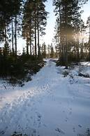 Lossisaari