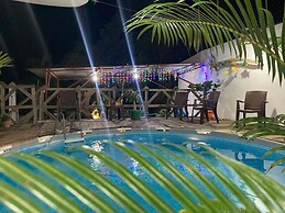 Great Palm View - Apartment 3 in Villa Coconut