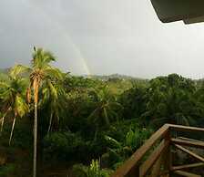 Great Palm View - Apartment 3 in Villa Coconut