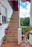 Quiet Studio - Apartment 4 in Villa Coconut