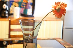 Tea House BnB Apartment