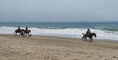 Mandalay Shores Resort