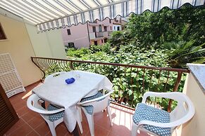 Apartments Darko