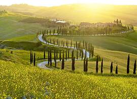 Rustic Elegance Near Florence