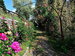 Rustic Elegance Near Florence