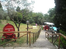 Rustic Elegance Near Florence